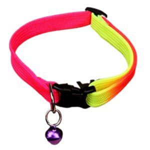 Rainbow Coloured Puppy/Cat Collar