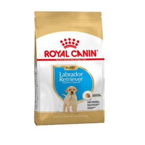 Royal Canin Labrador Retriever Puppy Dry Dog Food